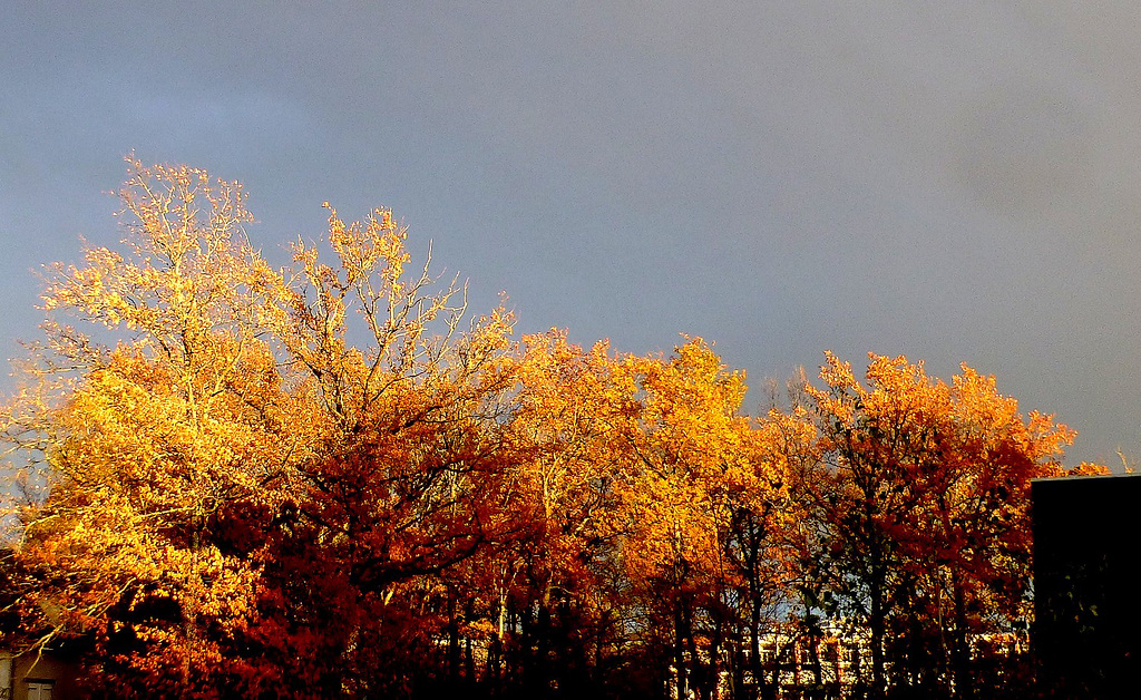 Derniers rayons avant l'averse...
