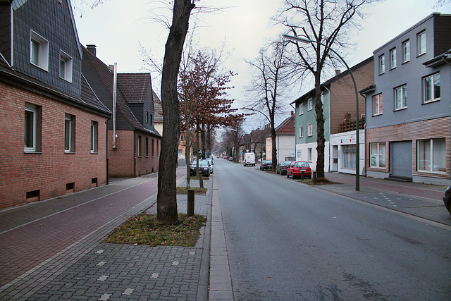 Sickingmühler Straße (Marl-Brassert) / 24.12.2016