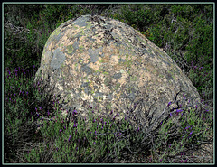 Granite boulder