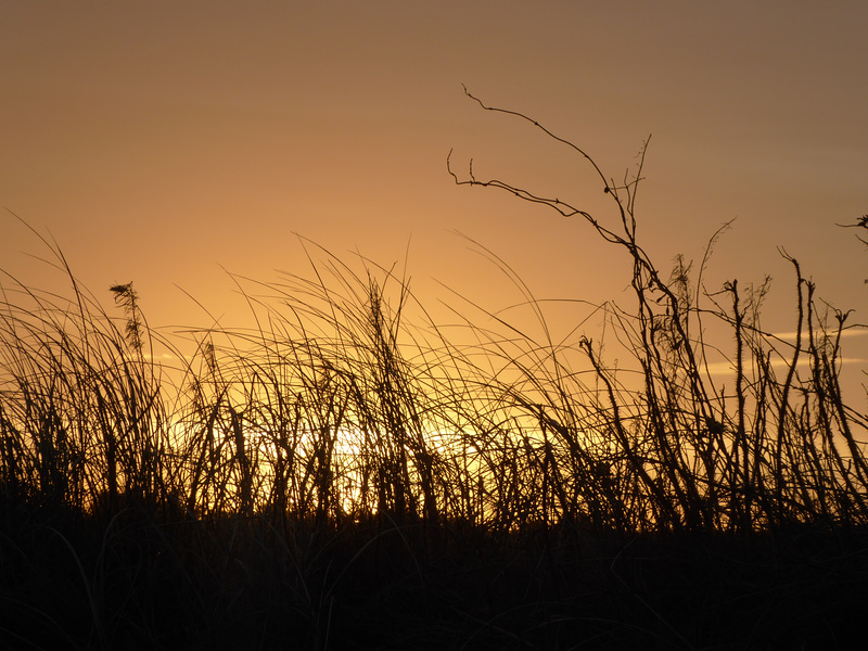 Sonnenaufgang