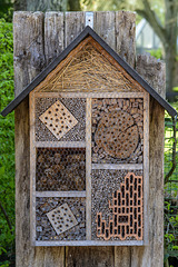 Insect hotel (22.04.2018)