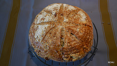 Wholemeal sunflower seeds, Rosemary, and Pecan