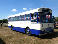Stonham Barns 'The Big Bus Show' - 14 Aug 2022 (P1130008)