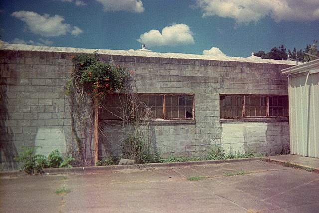 The Old Glove Factory