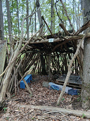 Cabane dans les bois