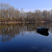 Friedliche Stille am Rheinarm der Rheininsel