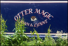 Otter Magic