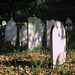 IMG 2922-001-Nonconformist Headstones