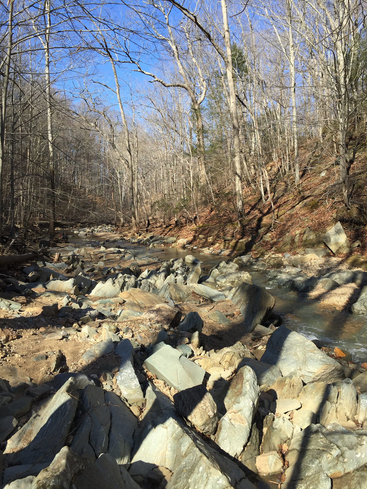 Scott's Run Nature Preserve