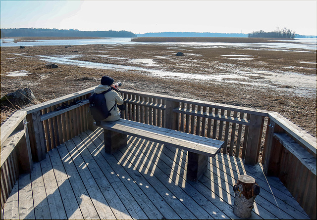 monday bench