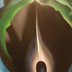 Jack-in-the-Pulpit IV