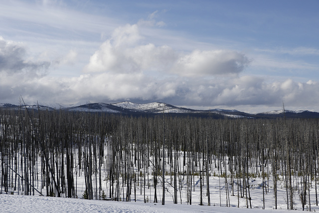 Sylvan Pass