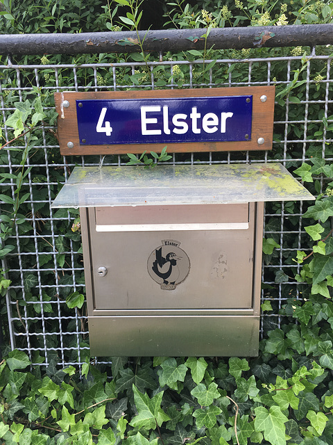 Elster