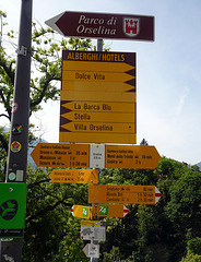 An der Auswahl sollte es nicht liegen