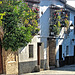 Granada El Albaicin