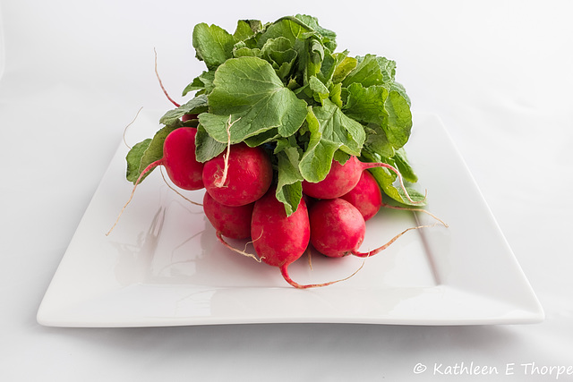 Radishes High Key 071216