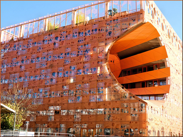 Lyon (69) 15 février 2019. Quai Rambaud. (Bord de Saône).