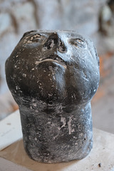DSCF9564