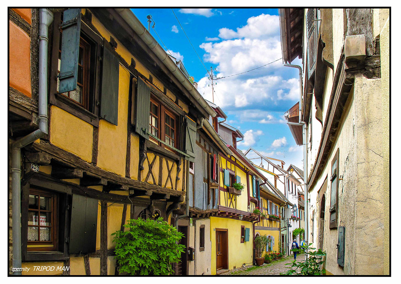 Eguisheim 24