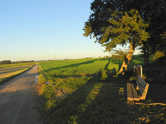 (Hbm)the  bench behind which i had to run a big errand