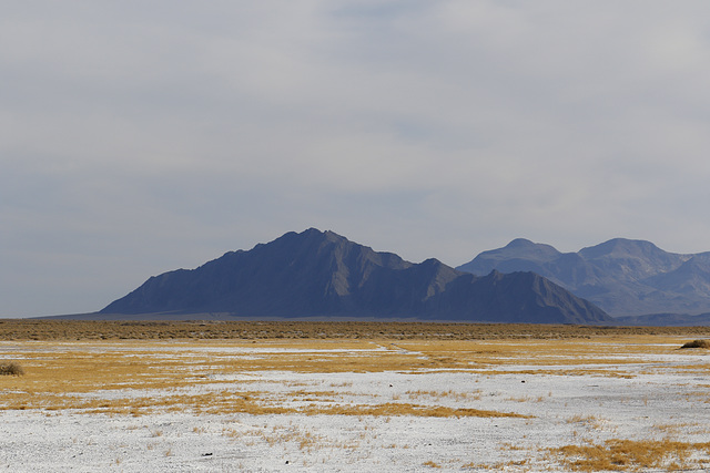 Nevada Landscape