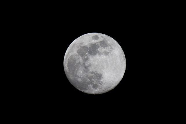 Wolf moon, 1/12/25