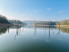 Periyar NP. 1