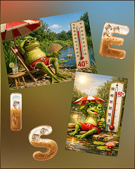 Der Wetterfrosch träumt von ...