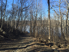 Scott's Run Nature Preserve