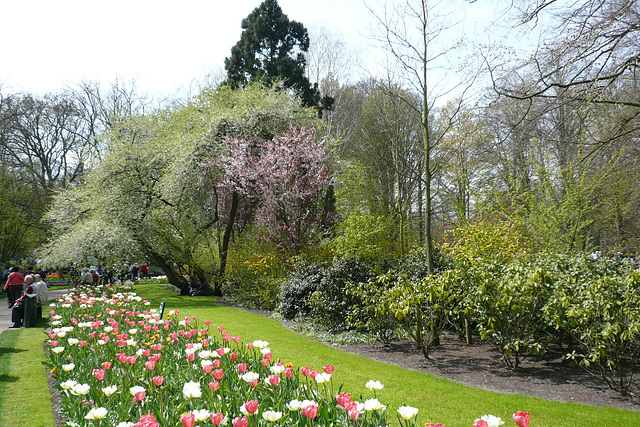 Keukenhof Gardens