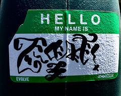 Hello My Name is Evolve