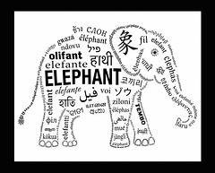 Elephant Words Elephant Words