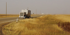 Very dry here, near Drumheller, Alberta.