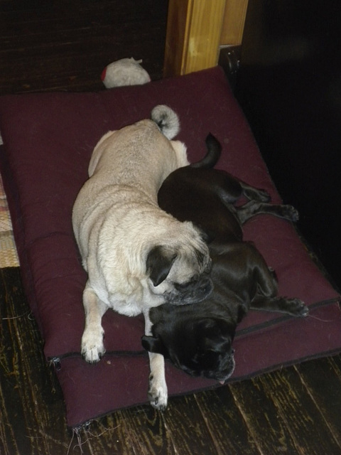 Dood and Anson