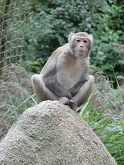 Zoo Görlitz 04