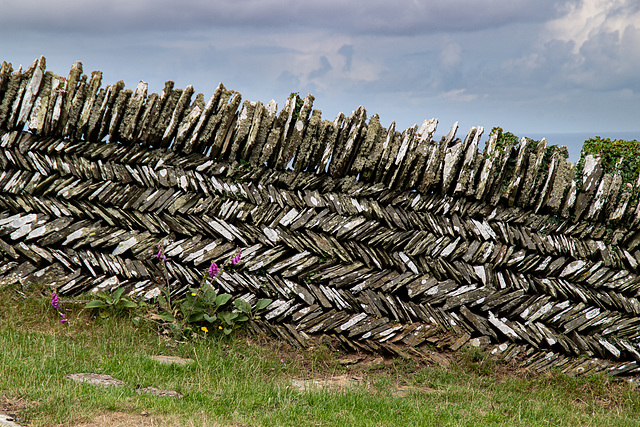 Somewhere in Cornwall - HFF