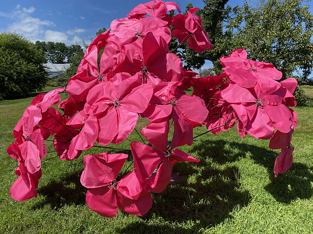 Pink Tree