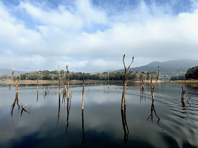 Periyar NP. 2