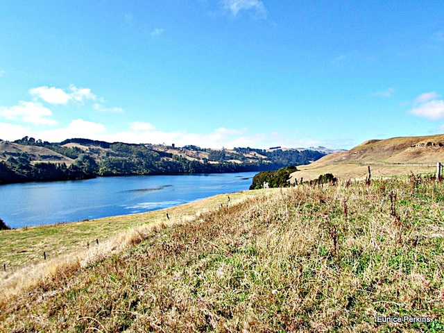 Waikato River Above Doc Camp