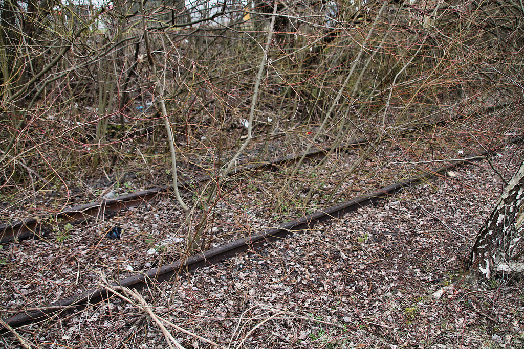 Gleisreste nahe der Bornstraße (Dortmund-Nordstadt) / 27.03.2018