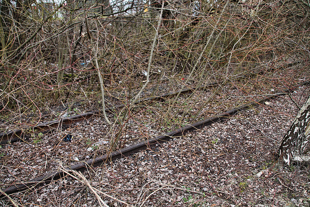 Gleisreste nahe der Bornstraße (Dortmund-Nordstadt) / 27.03.2018