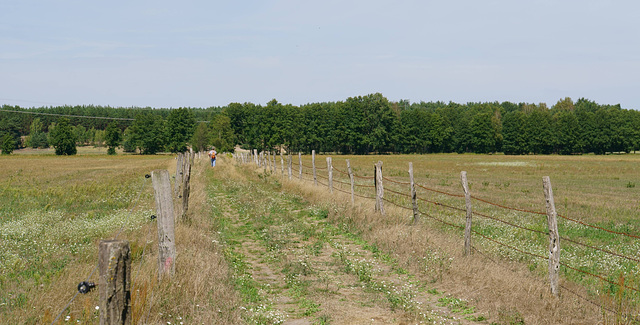 Wiesenweg