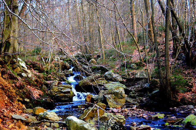 Cascade des nutons...