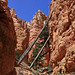 Navaho Loop Trail, Bryce