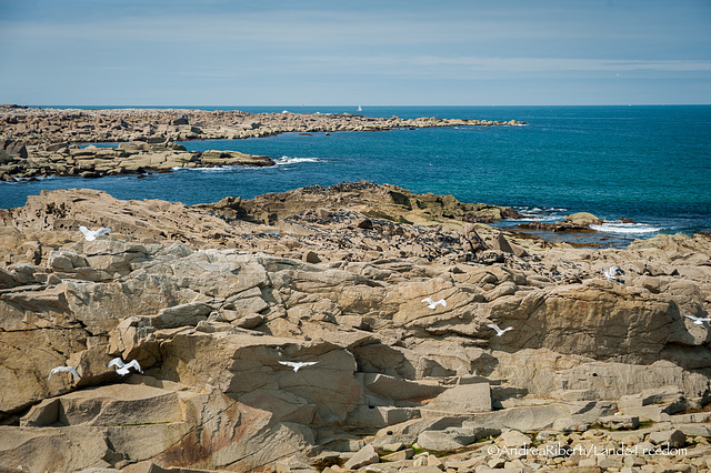 la mer reprend sa place