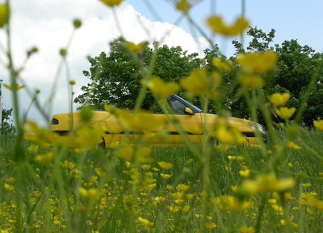 Yellow is wonderful - gelb is' geil - żółty jest c