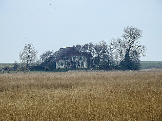 20180403 3370CPw [D~AUR] Leybucht, Greetsiel