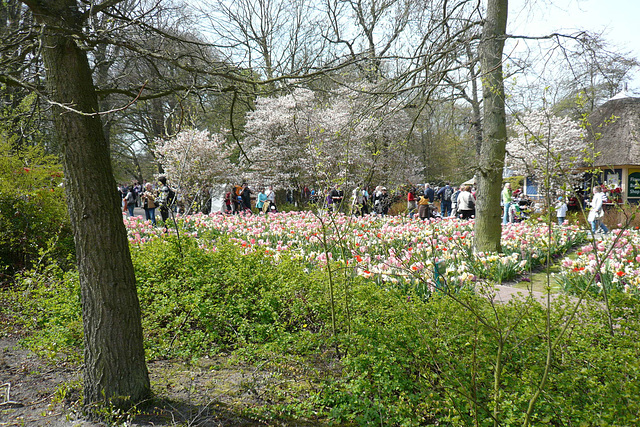 Keukenhof Gardens