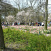 Keukenhof Gardens