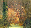 Before leaving for some days.. A Fairy Tale ...without Wolves :-)